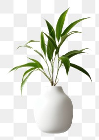 PNG Ceramic pot plant vase leaf wall. AI generated Image by rawpixel.