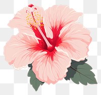 PNG Hibiscus flower blossom petal plant. AI generated Image by rawpixel.