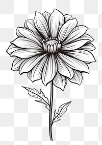 PNG Flower drawing dahlia sketch. AI generated Image by rawpixel.