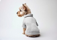 Dog's knitted sweater png mockup, transparent design