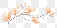 PNG Aesthetic watercolor background flower magnolia plant. AI generated Image by rawpixel.