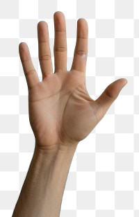 PNG Persons hand raising up finger gesturing touching. AI generated Image by rawpixel.