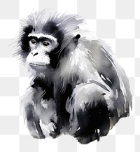 PNG Monkey chinese zodiac monkey wildlife painting. AI generated Image by rawpixel.