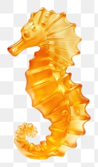 PNG Gummy seahorse white background yellow nature. 