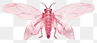 PNG Oleander Hawkmoth butterfly insect animal. AI generated Image by rawpixel.