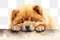 PNG Chow Chow dog mammal animal cute. AI generated Image by rawpixel.