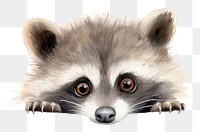 Baby racoon raccoon mammal animal. AI generated Image by rawpixel.