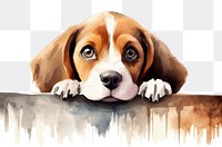 PNG Beagle dog look happy beagle animal mammal. AI generated Image by rawpixel.