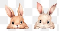 Two rabbit rodent mammal animal. AI generated Image by rawpixel.