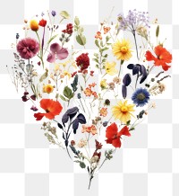PNG Flower making heart shape illustration pattern plant white background