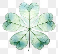 PNG Clover leaf nature plant art. AI generated Image by rawpixel.