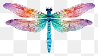 PNG Dragonfly animal insect white background