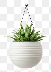 PNG Potted plant vase leaf white background. AI generated Image by rawpixel.