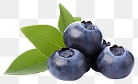 PNG Fresh blueberry fruit plant food. AI generated Image by rawpixel.