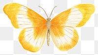 PNG Butterfly animal insect yellow. AI generated Image by rawpixel.