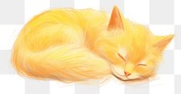 PNG Cat sleeping drawing mammal animal. AI generated Image by rawpixel.
