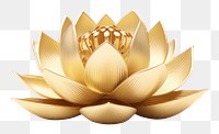 PNG Lotus flower gold plant white background