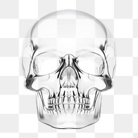 PNG Skull icon light illustrated science. AI generated Image by rawpixel.