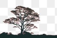 PNG Tree silhouette plant backlighting tranquility. AI generated Image by rawpixel.