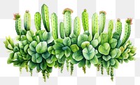 PNG Cactus nature plant freshness. AI generated Image by rawpixel.