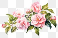 PNG Camellia painting blossom flower. AI generated Image by rawpixel.