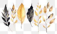 PNG Black and gold leaves nature plant leaf. AI generated Image by rawpixel.