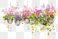 PNG Flower pots outdoors hanging nature