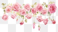 PNG Roses pattern flower nature