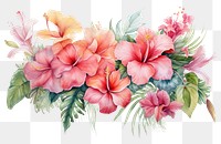 PNG Tropical flowers hibiscus nature plant. AI generated Image by rawpixel.
