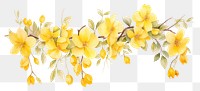 PNG Yellow flowers blossom nature plant