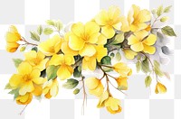 PNG Yellow flowers painting nature plant