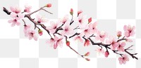 PNG Cherry blossom flower plant white background. AI generated Image by rawpixel.