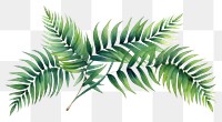 PNG Palm leaves plant leaf fern. AI generated Image by rawpixel.