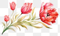 PNG Tulip flower tulip graphics plant. AI generated Image by rawpixel.