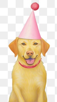 PNG Dogs wearing party hat birthday confetti mammal. 