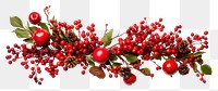 PNG Christmas garland christmas cherry plant. AI generated Image by rawpixel.