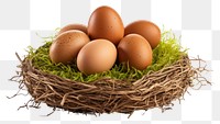 PNG Farm egg organic basket. AI generated Image by rawpixel.