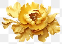 PNG  Peony flower dahlia petal. AI generated Image by rawpixel.