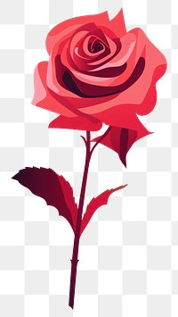 PNG A rose flower plant white background. AI generated Image by rawpixel.
