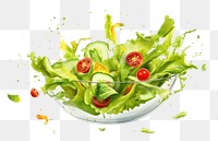 PNG Vegetable salad lettuce plant food. AI generated Image by rawpixel.
