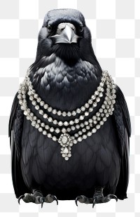 PNG Bird jewelry necklace animal. AI generated Image by rawpixel.