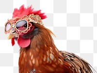 PNG Chicken animal poultry bird. AI generated Image by rawpixel.