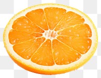 PNG Orange grapefruit lemon plant. AI generated Image by rawpixel.