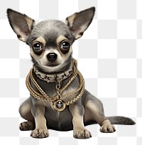 PNG Dog jewelry chihuahua necklace. AI generated Image by rawpixel.