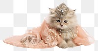 PNG Kitten animal pet accessories. AI generated Image by rawpixel.