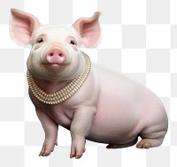 PNG Pig animal mammal portrait. AI generated Image by rawpixel.