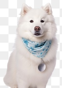 PNG Samoyed animal pet accessories. AI generated Image by rawpixel.