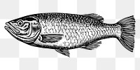 PNG Salmon fillet seafood animal sketch. AI generated Image by rawpixel.