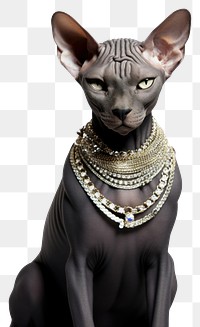 PNG Sphinx cat jewelry animal mammal. AI generated Image by rawpixel.