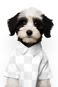 Dog's shirt png mockup, transparent design